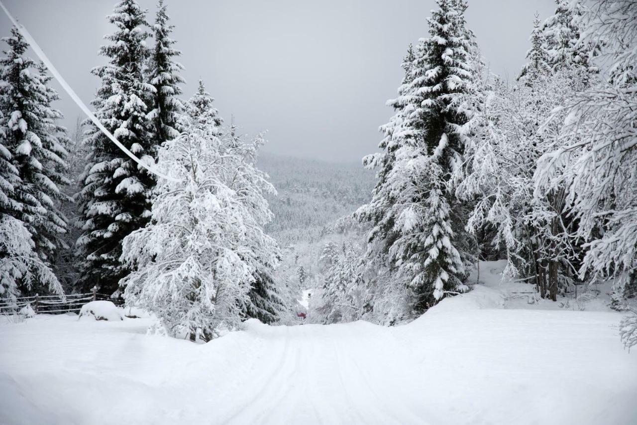 Torpet I Sjoe Villa Nyland  Luaran gambar