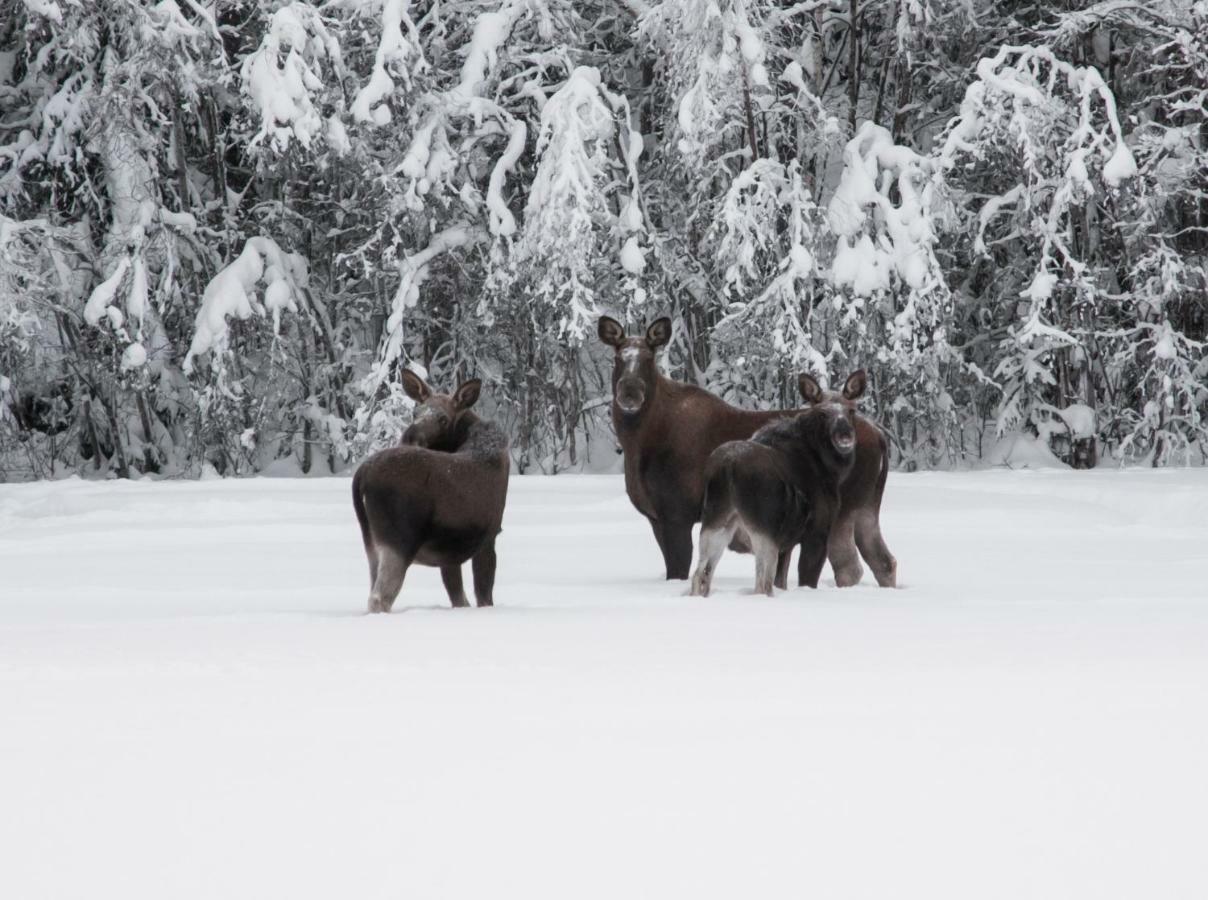 Torpet I Sjoe Villa Nyland  Luaran gambar